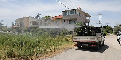 Edremit Belediyesi sinek ve haşere mücadelesine devam ediyor  