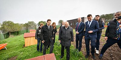 Balıkesir’den Türkiye’ye örnek proje